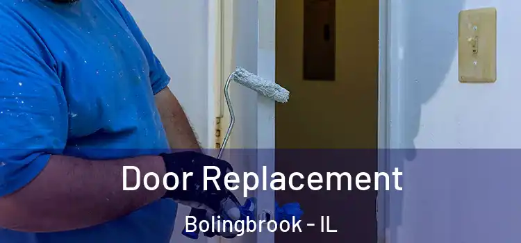Door Replacement Bolingbrook - IL