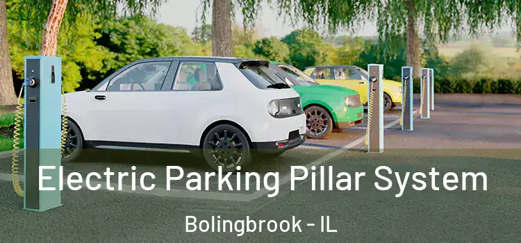  Electric Parking Pillar System Bolingbrook - IL
