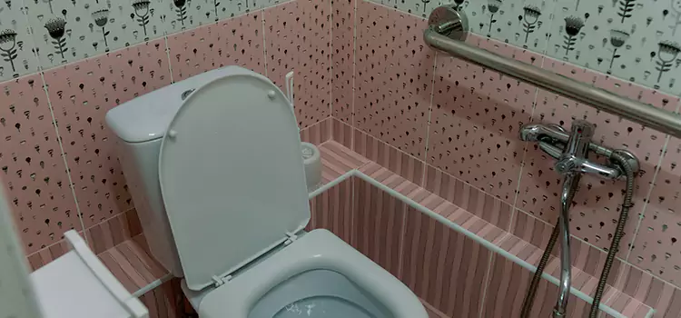Meeting Diverse Needs With Accessible Restroom Solutions in Bolingbrook, IL